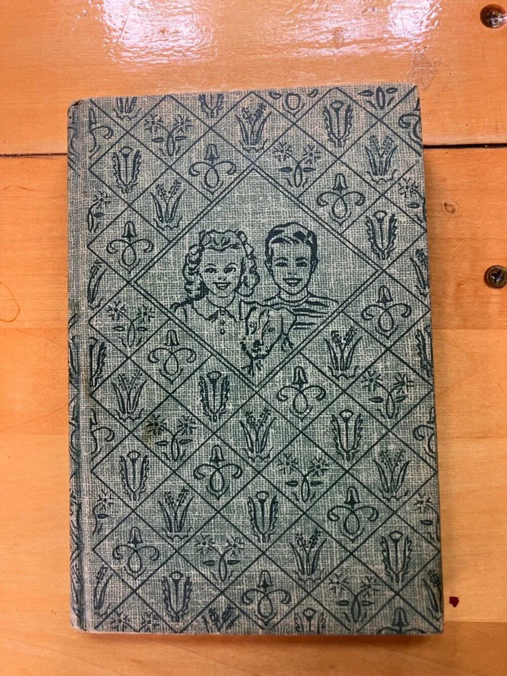Vintage Bobbsey Twins Hardcover Book Set 1941 1959 1966 Laura Lee Hope Grosset